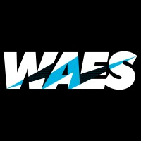 WAES