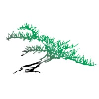 Evergreen Treatment Services