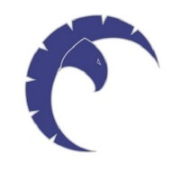 Cobalt Security Services, Inc