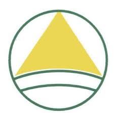 Chesterfield Services, Inc.