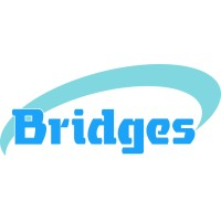 Bridges - Trusted Intelligent Engineering Partner