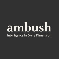 Ambush