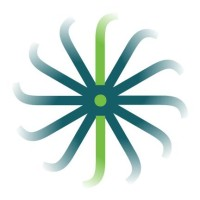Jackson Jade Speech, Occupational, Physical & ABA Therapy