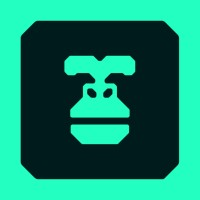 Gorilla - Energy Margin Intelligence