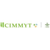 CIMMYT