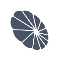 SmartFlower Solar