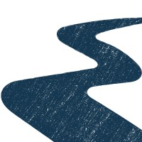 The Professional Path