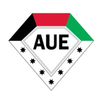 American University in the Emirates
