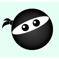 People Ninjas