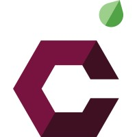 Cherry Talent Group
