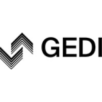 GEDI - Gruppo Esperti di Impresa
