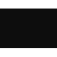 NYX, Inc.