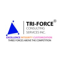 Tri-Force Consulting Services Inc. | IT Recruitment & Staffing Agency