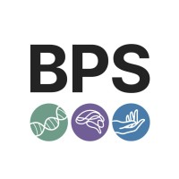 BPS Tensegrity