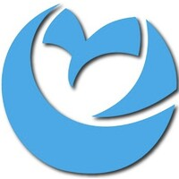 Geo Owl