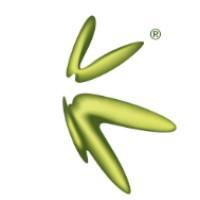 Konew FinTech Corporation Limited