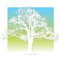 Metro Community Health Center