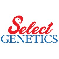 Select Genetics LLC