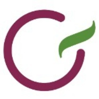 G-Service Management GmbH