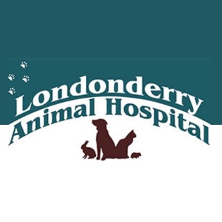 Londonderry Animal Hospital
