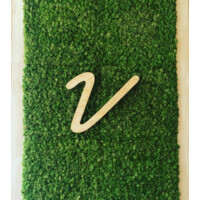 Vinaigrette Salad Kitchen