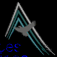 Summit Federal Services, LLC (SFS)