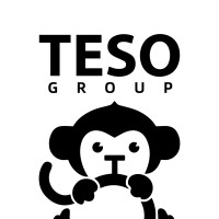 TESO Group