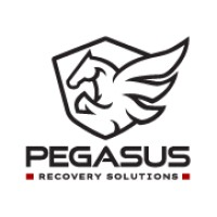 Pegasus Recovery Solutions