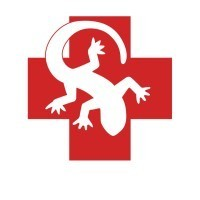 Amphibious Medics