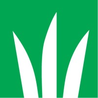 DLF