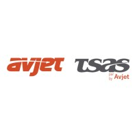 Avjet Holding