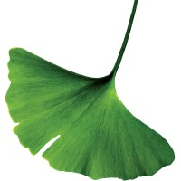 BowerGroupAsia