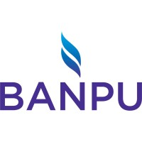 BANPU Public Company Limited